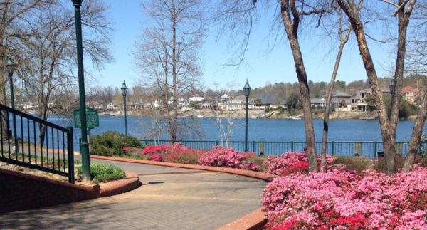 Who Are the Best Interior Designers in Augusta GA