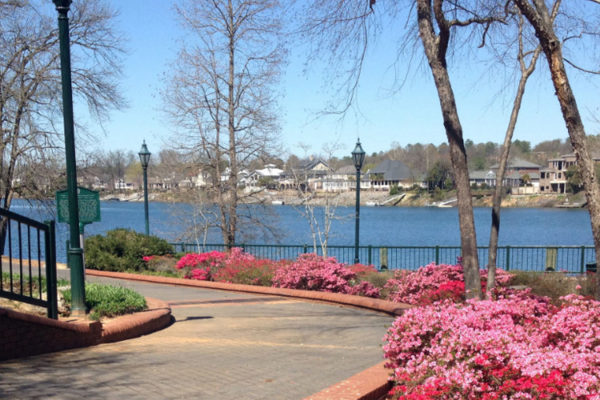 Who Are the Best Interior Designers in Augusta GA