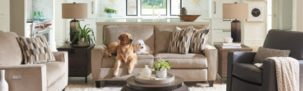 La-Z-Boy Customer Referral Program