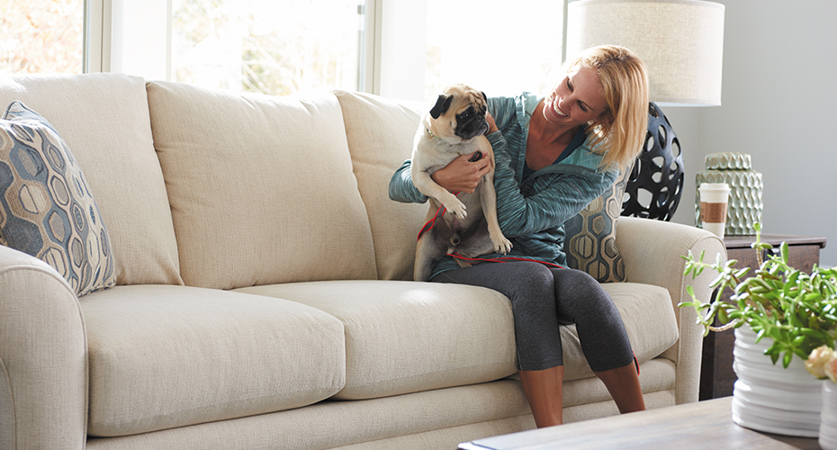 Dog friendly shop leather couch