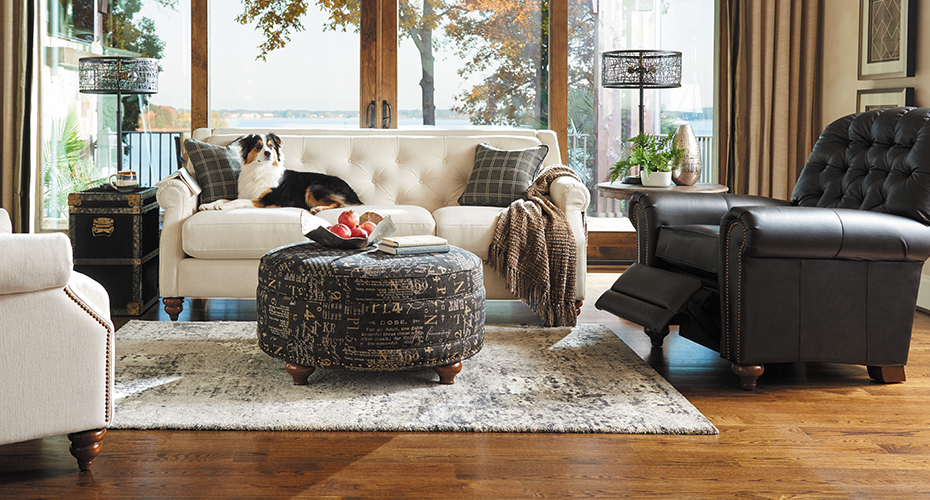 How to Remove Pet Hair From Furniture