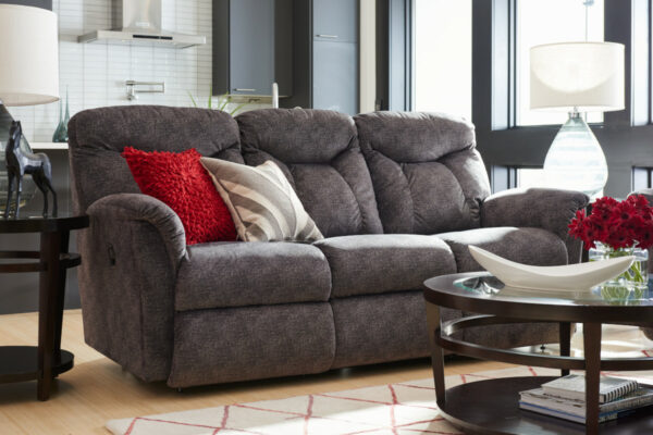 La-Z-Boy Fortune Sofa Pet Friendly Fabric D143356 Graphite
