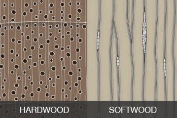 Hardwood vs Softwood Furniture