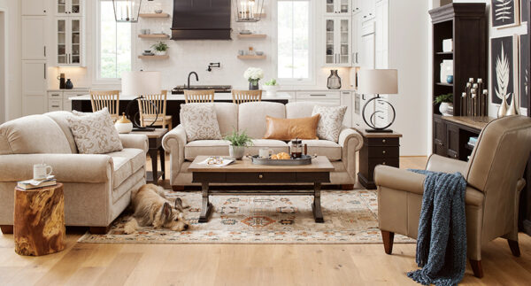 How Does the La-Z-Boy Free Design Service Work