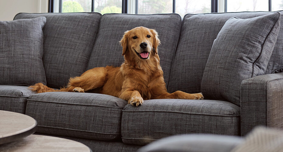 Lazy boy deals microsuede couch