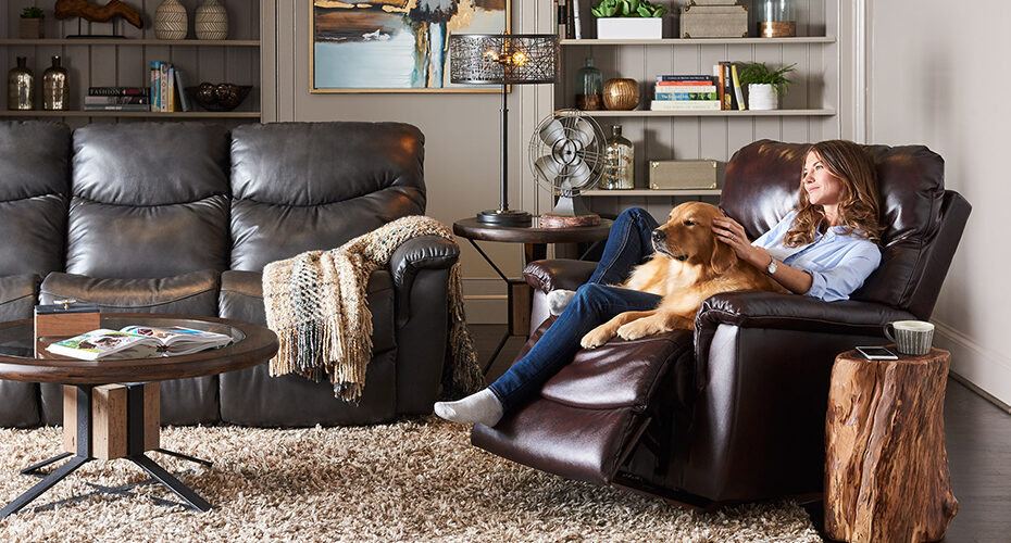 Leather couch outlet with pets